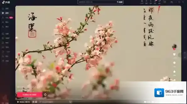 抖音粉丝
