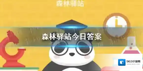 大熊猫看起来又胖又懒但是它擅长哪项运动呢 微博森林驿站今日答案12月13日