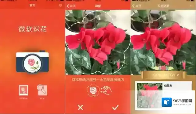《微软识花》相关使用方法介绍