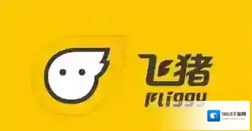 《飞猪旅行》分期付款规则说明介绍