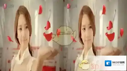 会声会影视频