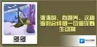 疯狂动物园海豹