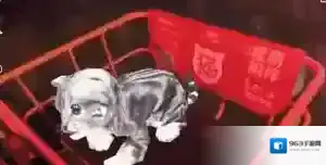 摩拜单车单车