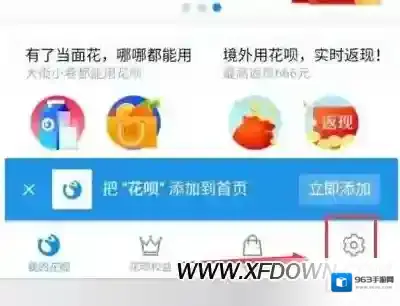 支付宝的是