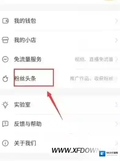 快手粉丝头条是什么意思，快手粉丝头条怎么使用