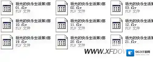 QQ影音格式