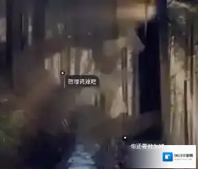 in小编