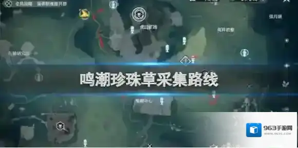 鸣潮珍珠草采集路线 鸣潮珍珠草采集路线图一览
