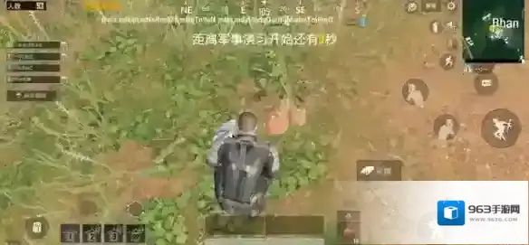 和平精英应该是