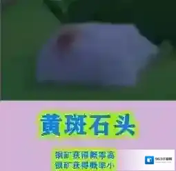 摩尔庄园小摩尔