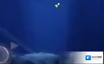 光遇白鸟