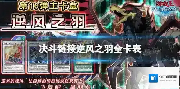 游戏王：决斗链接黑羽