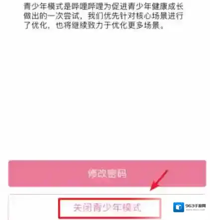 哔哩哔哩选项