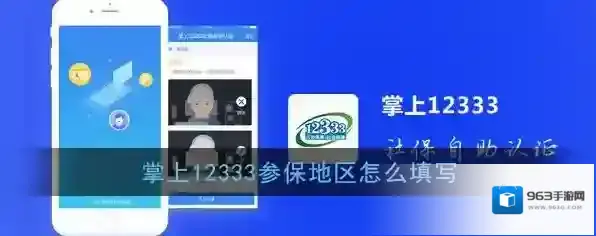 《掌上12333》参保地区填写说明