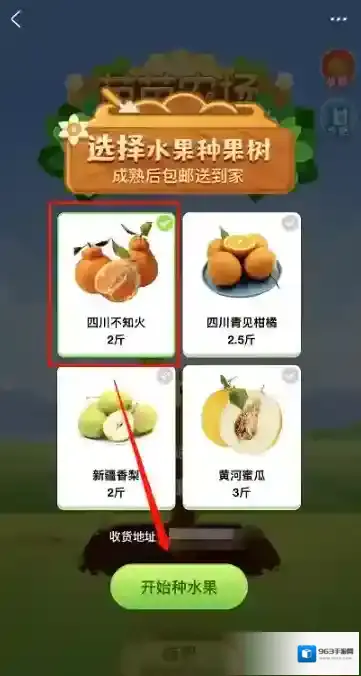 支付宝芭芭