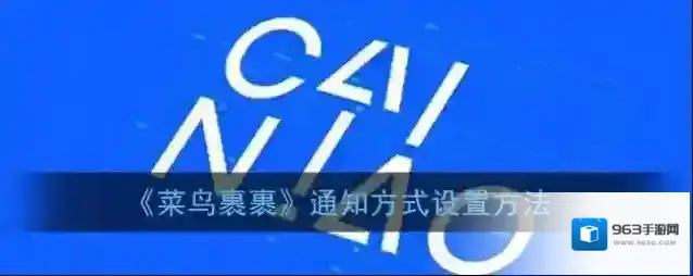 《菜鸟裹裹》通知方式设置方法