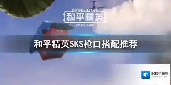 和平精英SKS用什么枪口好 和平精英SKS枪口搭配推荐