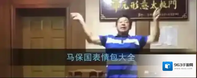 马保国表情包大全