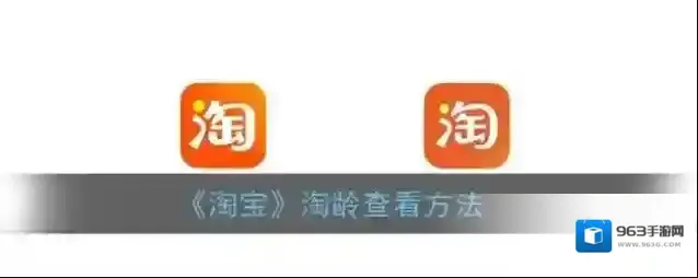 淘宝网淘龄