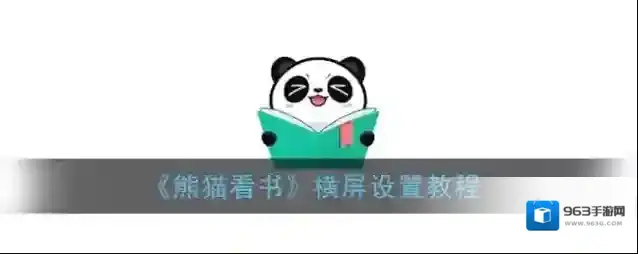 熊猫看书横屏