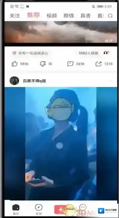 皮皮虾一个视频