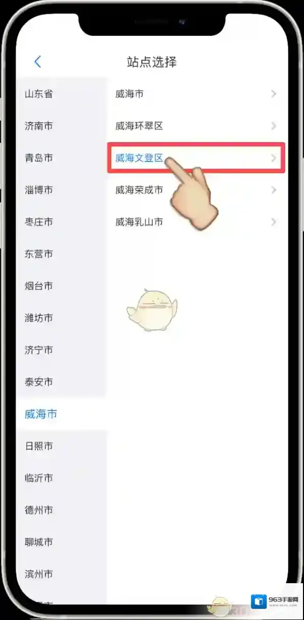 爱山东代查