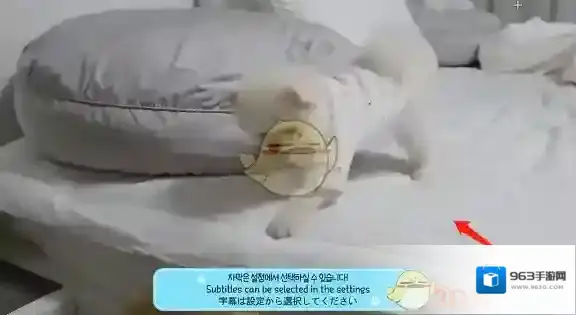 哔哩哔哩录制