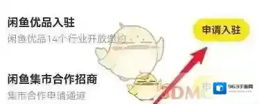 闲鱼信息