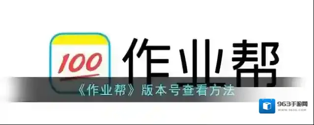 作业帮选项
