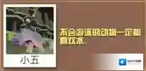 疯狂动物园河马