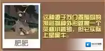 疯狂动物园属性