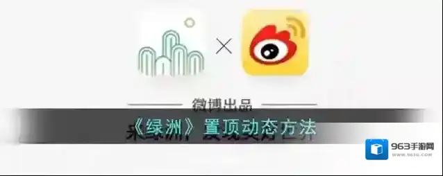 新浪绿洲置顶