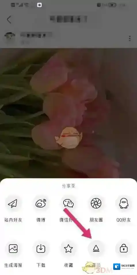 新浪绿洲动态