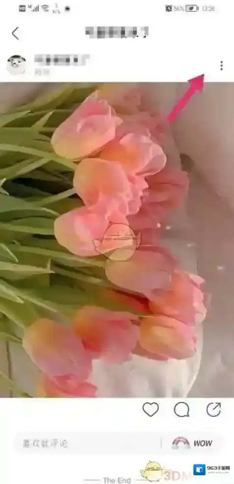 新浪绿洲界面