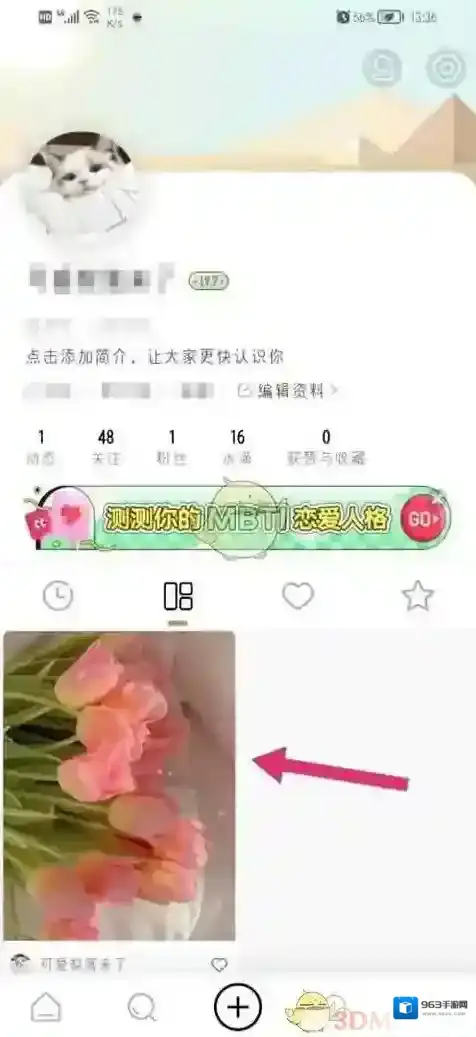 新浪绿洲在我