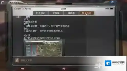 明日之后鱿鱼在哪里钓 枪乌贼刷新位置介绍