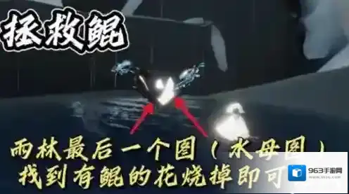 光遇每日任务