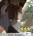 FGO主线