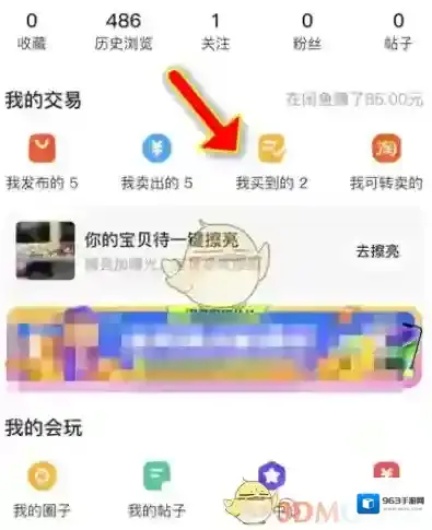 闲鱼印象