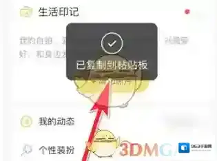 伊对复制