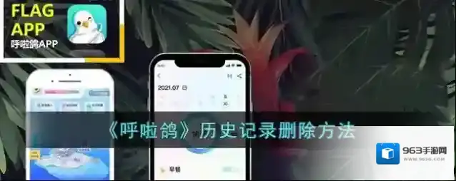呼啦鸽点击