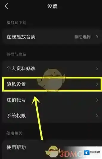汽水音乐的人