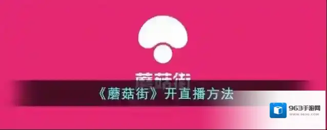 《蘑菇街》开直播方法