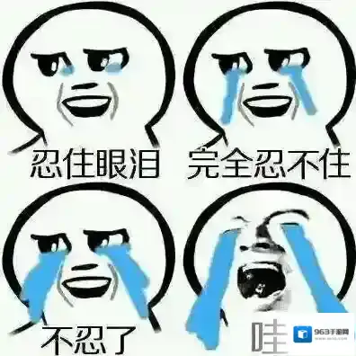 王者荣耀有机会