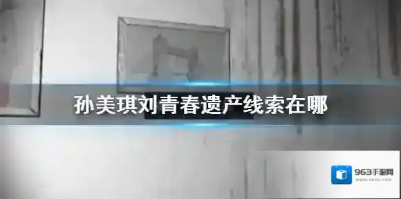 孙美琪刘青春遗产线索在哪 孙美琪疑案刘青春遗产线索介绍