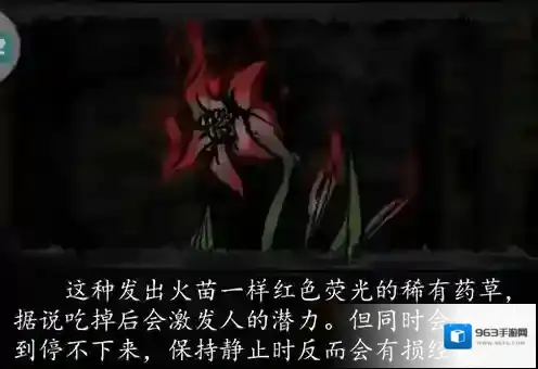 幽行玄城红色药草有什么用 红草药食用效果讲解