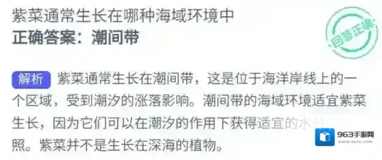 支付宝潮间带