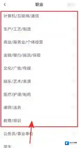 皮皮陪玩职业
