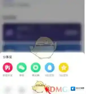 皮皮陪玩分享