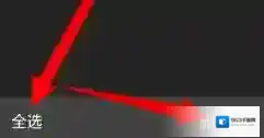 黑莓浏览器笔状